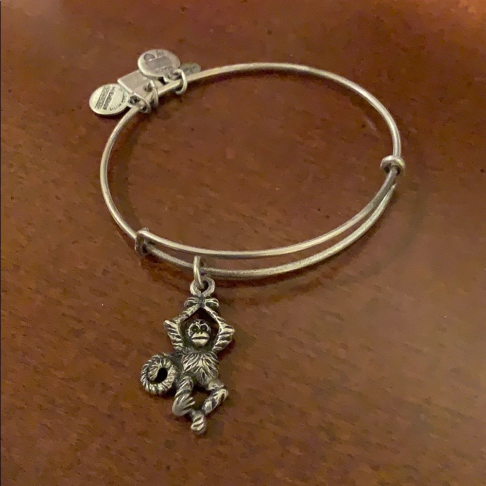 Alex And Ani Monkey Bracelet